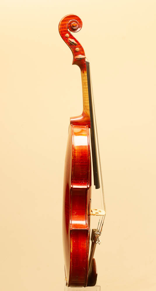 Great value violin. From China Lyons Violins